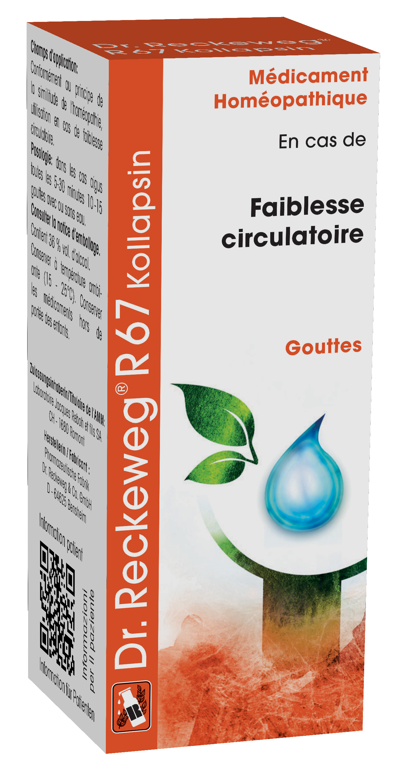 Dr. Reckeweg R67 Kollapsin